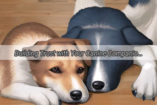 Building Trust with Your Canine Companions 5 Proven Strategies to Win Your Dogs Heart